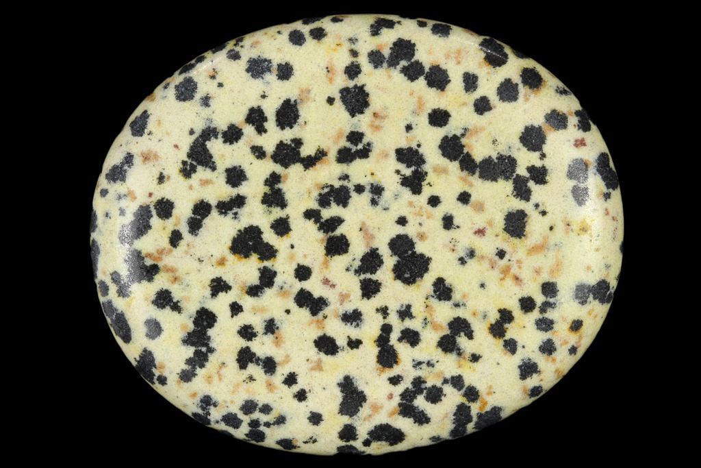 1. DIASPRO DALMATA